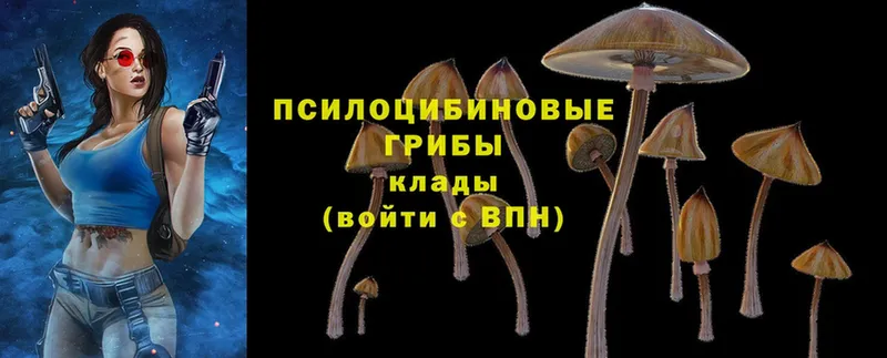 Названия наркотиков Данилов Гашиш  Амфетамин  КОКАИН  А ПВП  Меф мяу мяу  Бошки Шишки 