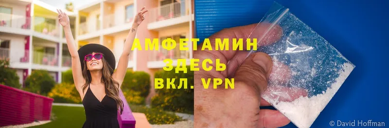 где можно купить   Данилов  Amphetamine VHQ 