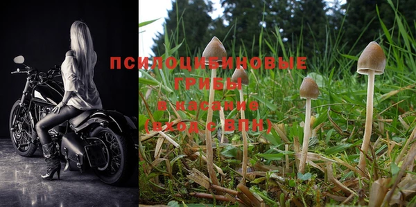 MESCALINE Михайловка